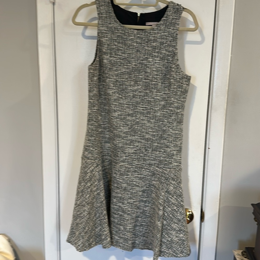 Banana Republic Drop Waist Dress